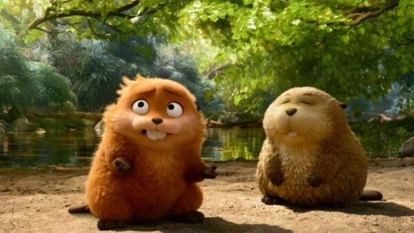 Na skok do divočiny