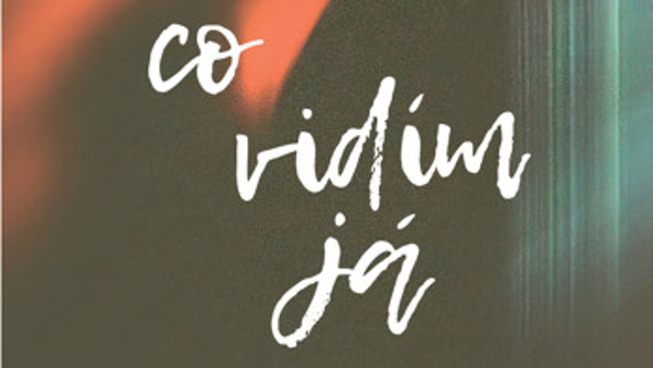 Svět očima dětí v hostitelské péči: Výstava Co vidím já