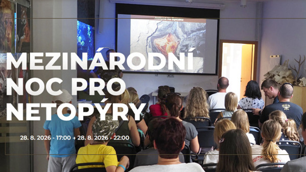 Mezinárodní noc pro netopýry