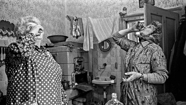 Z města ven! Fotografická a kurátorská činnost Jindřicha Štreita