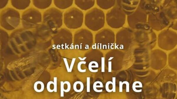 Včelí odpoledne