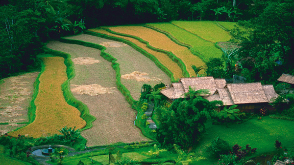 Jiří Kolbaba: Ostrov Bali - Můj druhý domov