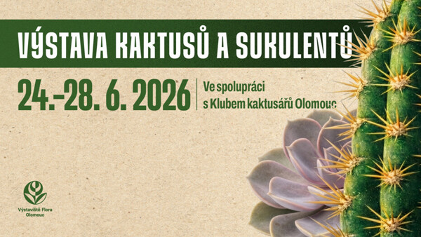 Výstava kaktusů a sukulentů