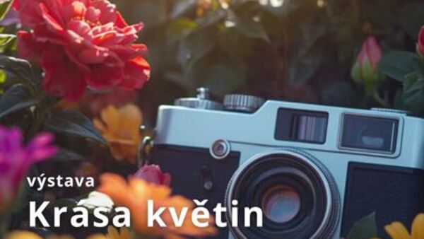 Krása květin