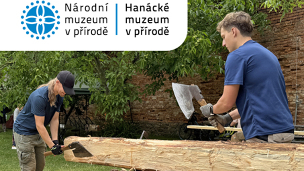 Tradiční tesařské řemeslo