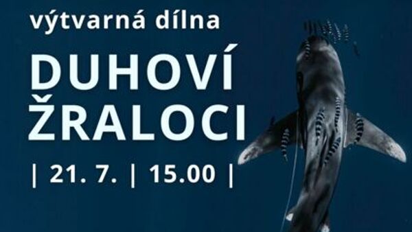 Duhoví žraloci