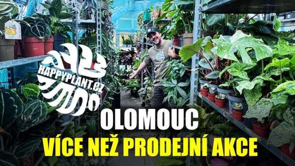 Matěj z HAPPYPLANT - Pokojovky přímo ze skleníku