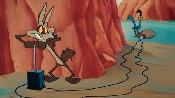 Kino dny: Kojot vrací úder