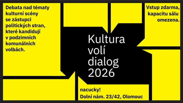 Kultura volí v regionech