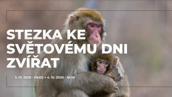 Stezka ke světovému dni zvířat