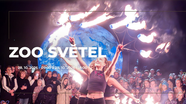 Zoo světel