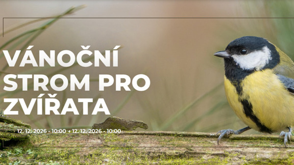 Vánoční strom pro zvířata