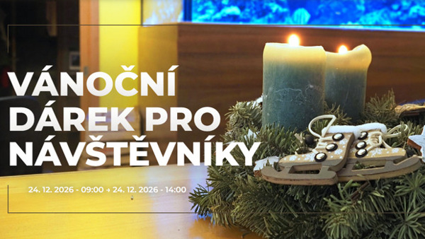 Vánoční dárek pro návštěvníky