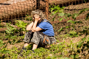 Ošetřovatelé doufají, že se makakové vrátí sami. Šance na jejich chycení je totiž dost malá.
