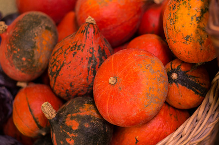 Dýně hokaidó je nejrozšířenější jedlou dýní, v Olomouci ji kromě zeleniny seženete i ve větších marketech.