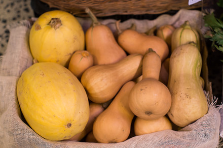 Hůře sehnatelná je máslová dýně, kterou najdete v Moravském gruntu.