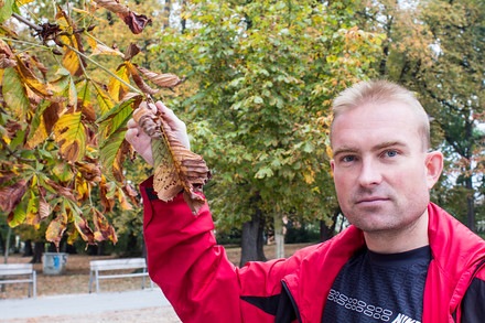 Flora už si nechala zpracovat studii, aby získala podklady pro rozhodnutí, které ale bude muset učinit město, říká mluvčí výstaviště Adam Fritscher.