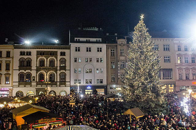 Loňský stromeček se jmenoval Lucinka. Jaké jméno vyberete letos?