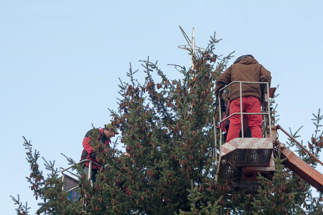Douglaska už Horní náměstí ozdobila v roce 2012, bude letošní ještě krásnější?