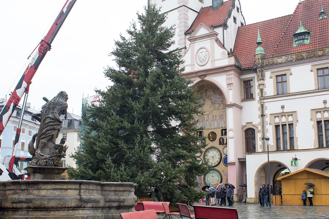 Minulou neděli dorazil stromeček na Horní náměstí, v průběhu týdne ho nazdobili a tuto neděli bude oficiálně rozsvícen.