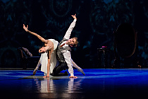 V Moravském divadle se odehrála premiéra baletu Dáma s kaméliemi. Doporučujeme!