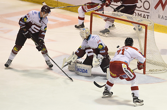 Moru čeká doma Sparta. Minule Kohouty vychytal její odchovanec Jan Lukáš. Porazí Kohouti jednoho z favoritů soutěže?