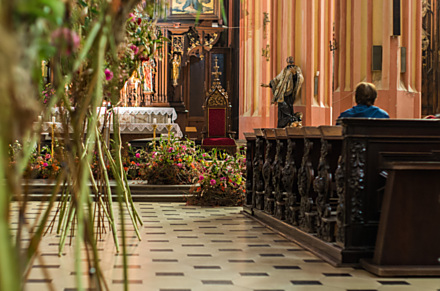 Pastvu pro oči přinesla podzimní Flora. Její aranžéři nechali doslova rozkvést olomoucké památky. Snímek je z chrámu svatého Mořice.