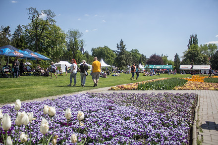 První ročník dopadl na jedničku. Důkazem je park plný spokojených lidí, ochutnávající nejrůznější delikatesy.