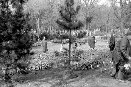 Nákupy na Floře kvetly už koncem šedesátých let. Ale schválně, od kdy se tato výstava, založená v roce 1958, jmenuje Flora? První správnou odpověď odměníme volňáskem do Premiere Cinemas. Soutěž ukončena. Správná odpověď byla rok 1967.