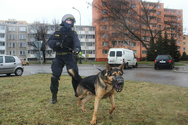 Dívku hledali i policisté se psy. Ilustrační foto.