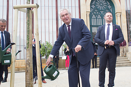 Před opravenou oranžerií zasadil prezident Zeman strom.