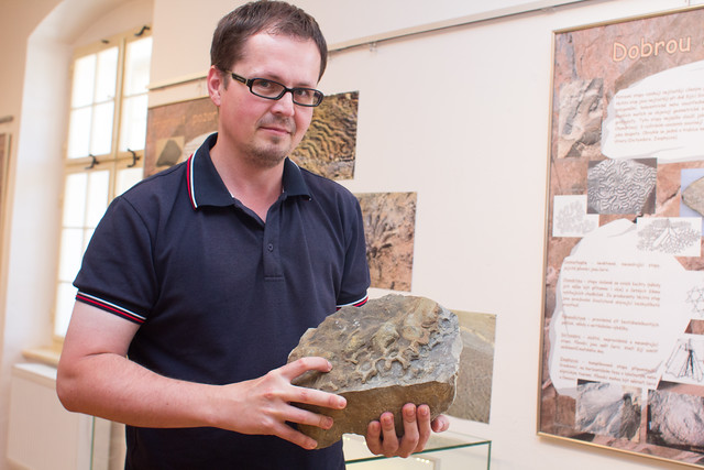 Většina exponátů pochází ze sbírky paleontologa Tomáše Lehotského.