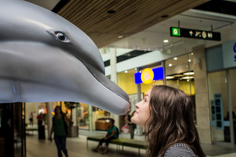 Pohled z očí do očí. I to je možné. S delfínem je to ale rozhodně příjemnější než s kladivounem.