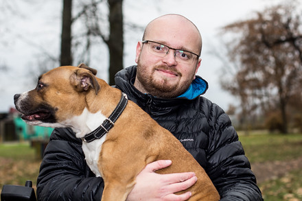 Stafordširská bulteriérka Rox je jednou ze tří psů, kteří s Tomášem, jeho ženou a dcerou sdílí domácnost.