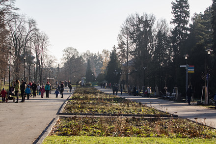 Olomoučané vysázeli v sobotu celkem 108 stromů.