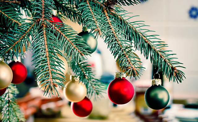 Už máte doma stromek? Podívejte, kde a jaké můžete v Olomouci koupit...