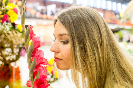 FLORA. Tradiční letní Flora přilákala na výstaviště tisíce návštěvníků. Expozici dominovaly mečíky.