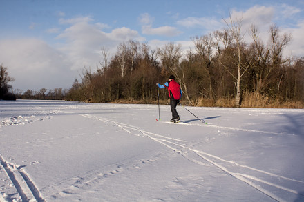 Po zamrzlých Poděbradech se prohánějí i běžkaři.