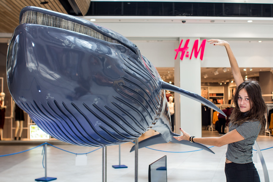 Výstava Obři oceánů sklidila úspěch.