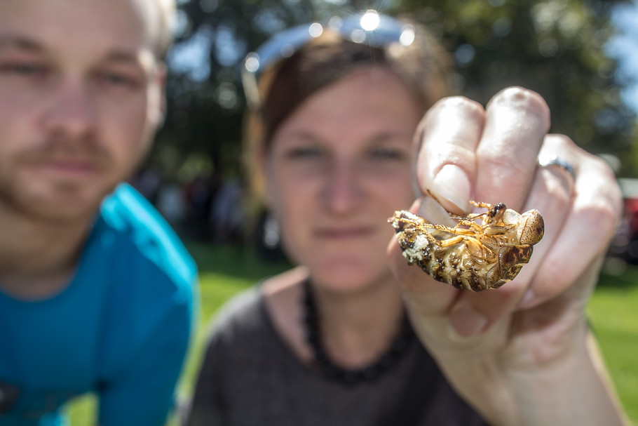 Garden Food Festival, Divadelní Flora i Mistrovství republiky v plavání