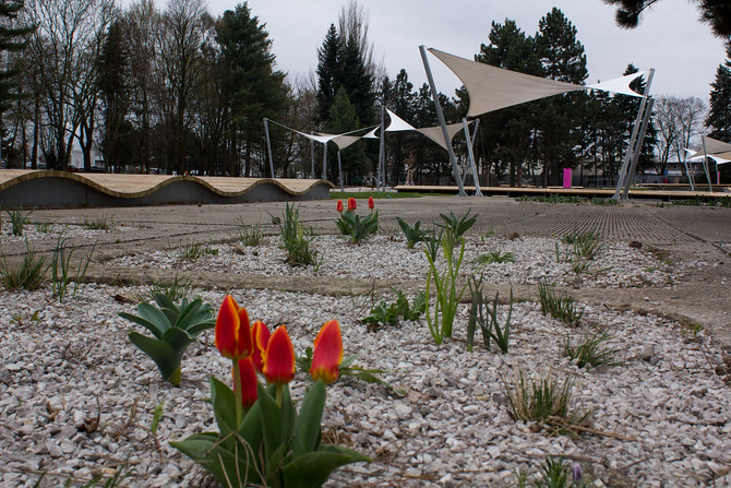 Ilustrační foto  I Rozárium