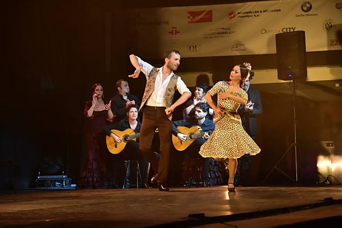 COLORES FLAMENCOS 2016