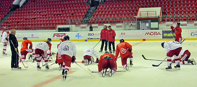 Trenér HC Olomouc Zdeněk Venera by přivítal ještě jedno šikovné pravé křídlo.