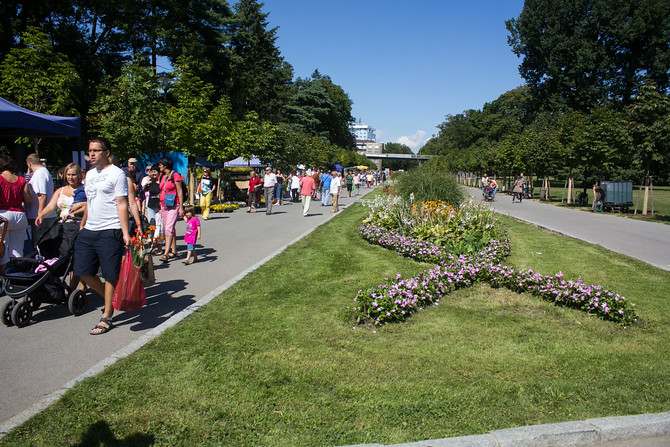 Na průchod parkem si připravte zálohu 150 korun. Musíte to stihnout do patnácti minut.
