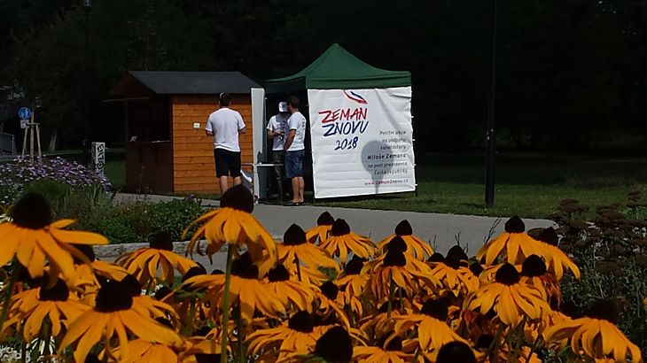 Výstavovou nadstavbu tvořil prakticky jen petiční stánek Miloše Zemana. A celá alej, jindy v dopoledních hodinách plná spokojeně se venčících lidí, zela víceméně prázdnotou…