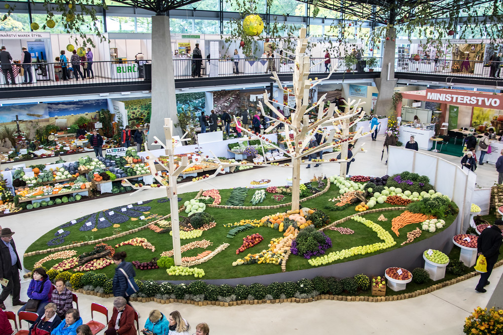 Za vstupenku dáte 120 korun. Ale pozor! Jen, pokud si ji koupíte na internetu. Na místě je o dvacet korun dražší.