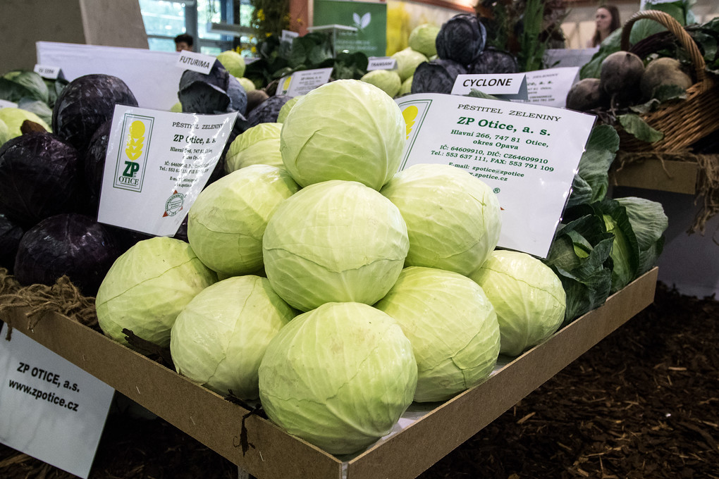 Zelinářských zátiší najdete v pavilonu A více.