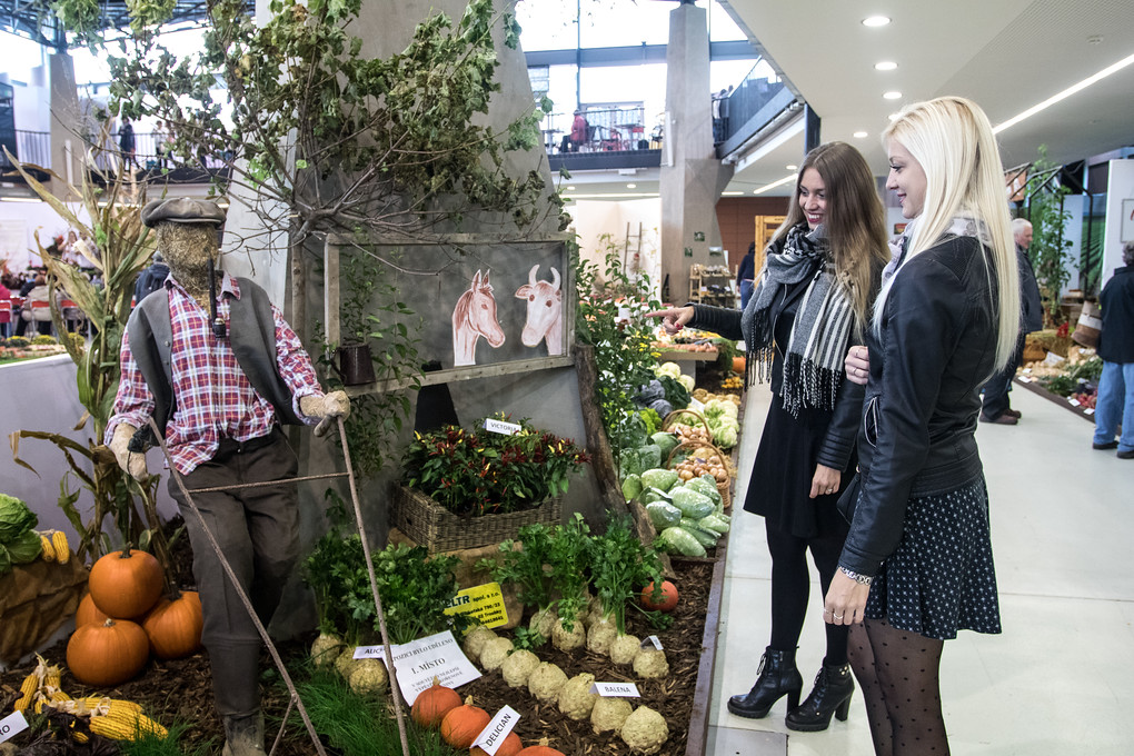 Je tu i selský koutek.