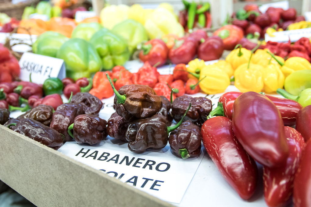 Pořádně ostrá podívaná.