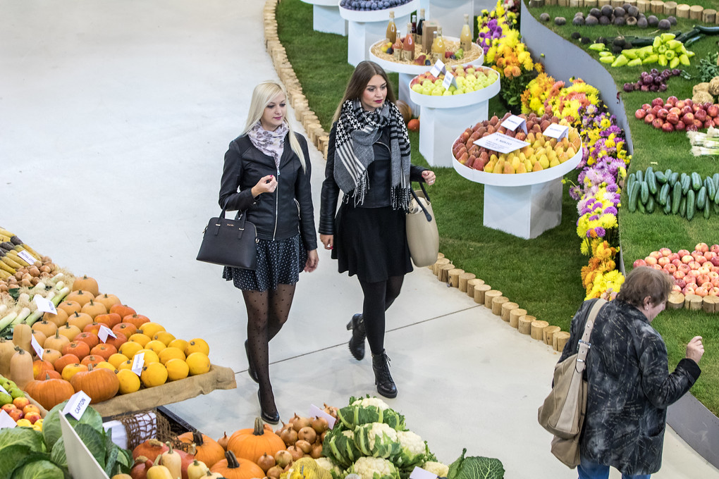 Výstava trvá až do neděle.